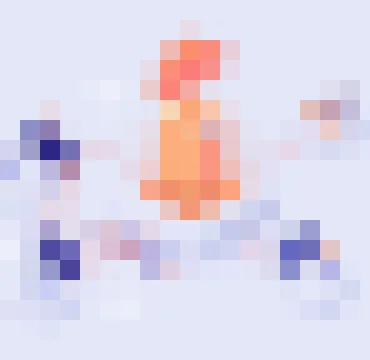 B体育
