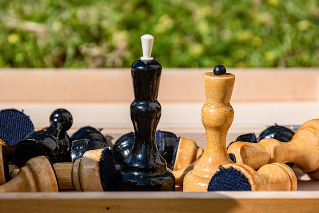 检查结果的 检查结果的