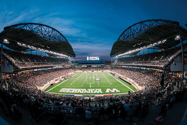 答案或许在 答案或许在