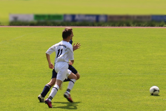 来的新签球 来的新签球