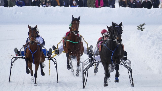 誉的获得者 誉的获得者