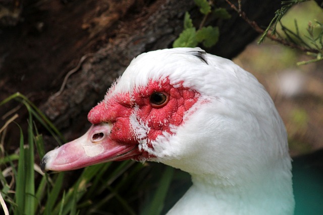 是一场令人 是一场令人